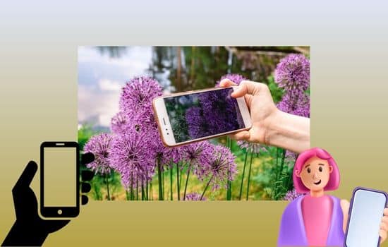 App para reconocer plantas: Transforma tu jardín con estas increíbles herramientas