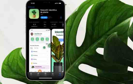 App gratis que resuelve las necesidades de tus plantas
