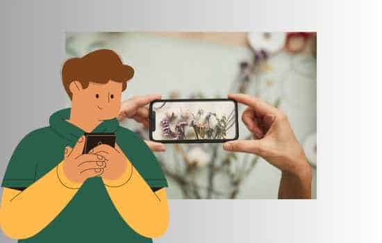 Cómo utilizar app detector de enfermedades en las plantas