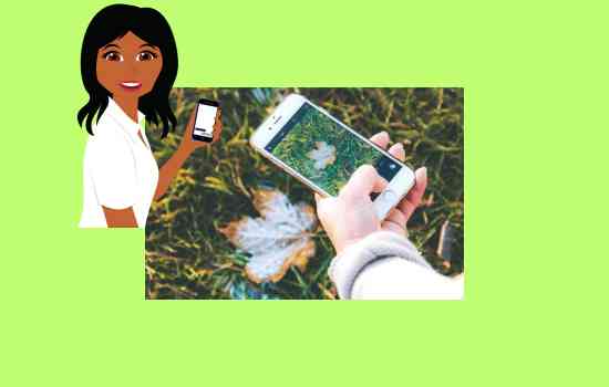 Identifica plantas sin costo con PlantNet