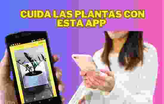 PlantNet para eoptimizar tu plantas