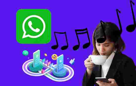 Comparte los mejores vídeos en WhatsApp