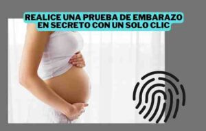Lee más sobre el artículo Vive la experiencia Gravidez+ en tu Embarazo