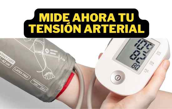 Tu Salud al Alcance de un Clic: Monitorea tu Presión