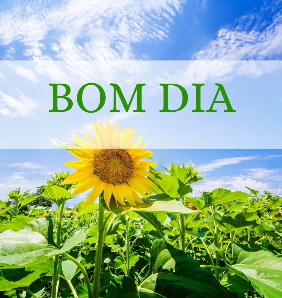 figurinhas, bom dia, boa tarde, boa noite