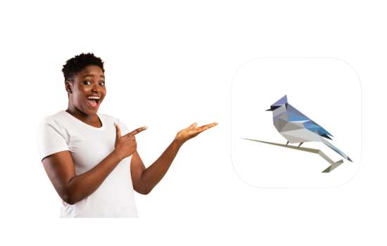 El Shazam de los pájaros que nadie conoce